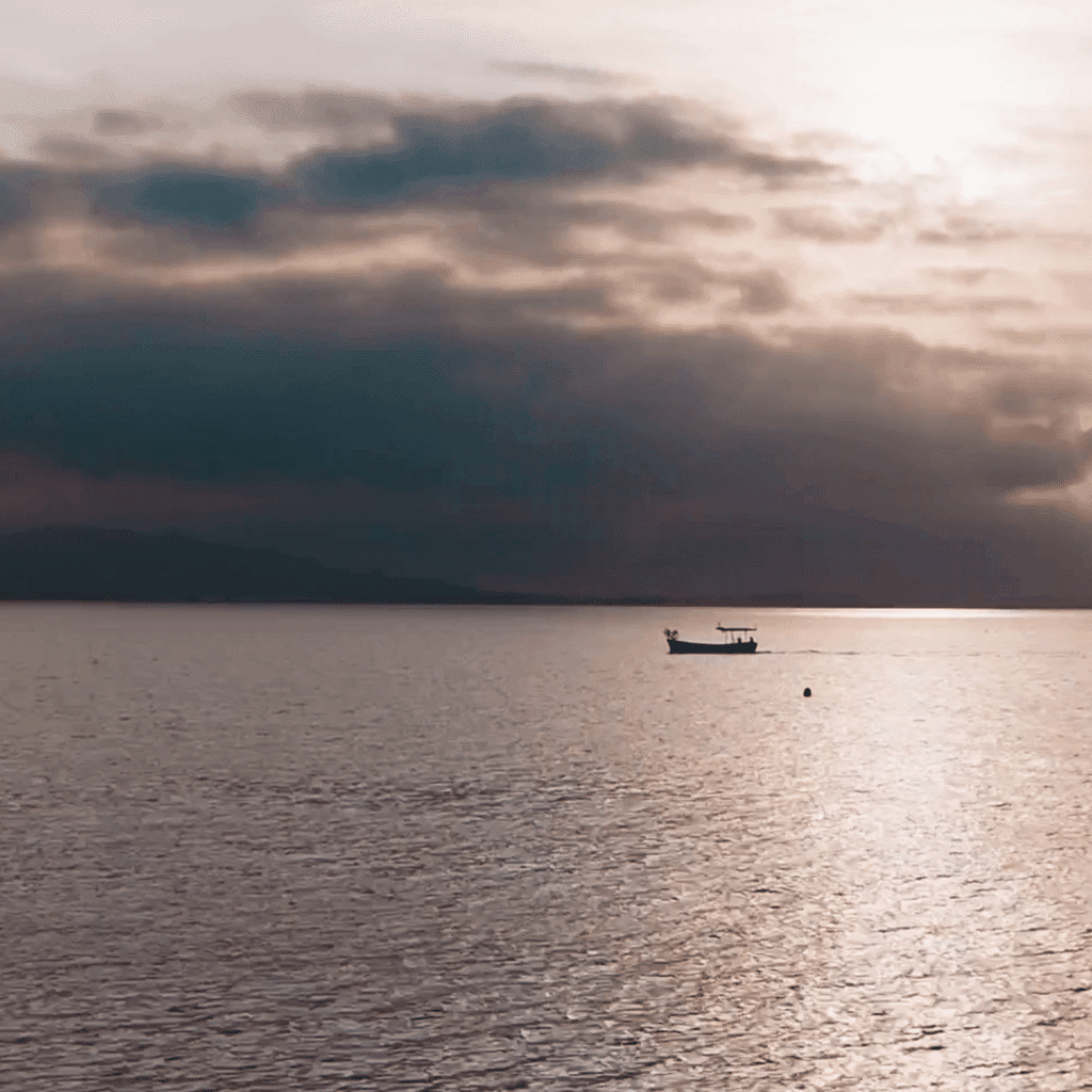 Level – Optical Center –