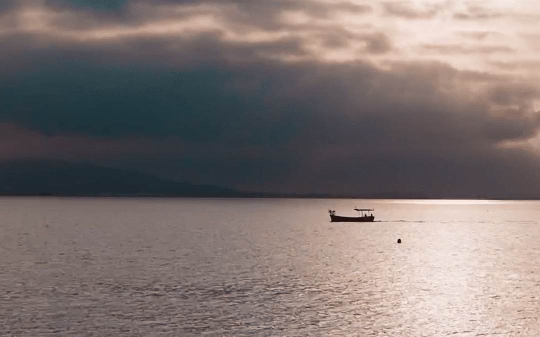 Level – Optical Center –